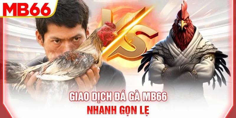 Giao dịch đá gà MB66 nhanh gọn lẹ