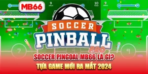 Soccer Pingoal MB66 Là Gì? Tựa Game Mới Ra Mắt 2024