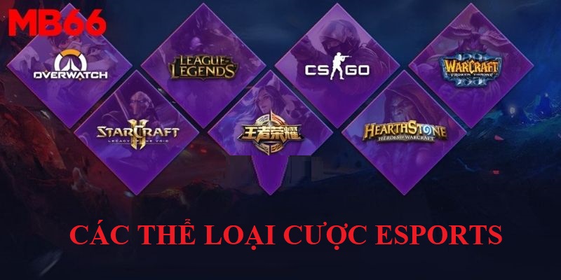 Những thể loại Cá cược Esports mà người chơi có thể lựa chọn