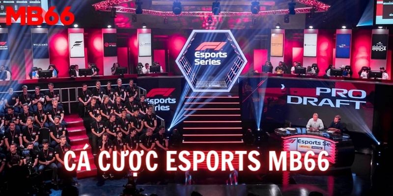 Tìm hiểu đôi nét về khái niệm bộ môn Cá cược Esports MB66