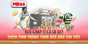 Kèo Chấp 1/1.5 Là Gì? Cách Tính Thắng Thua Kèo Đấu Chi Tiết