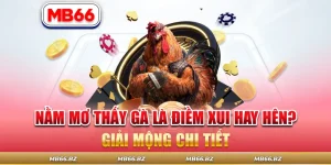 Nằm Mơ Thấy Gà Là Điềm Xui Hay Hên? Giải Mộng Chi Tiết