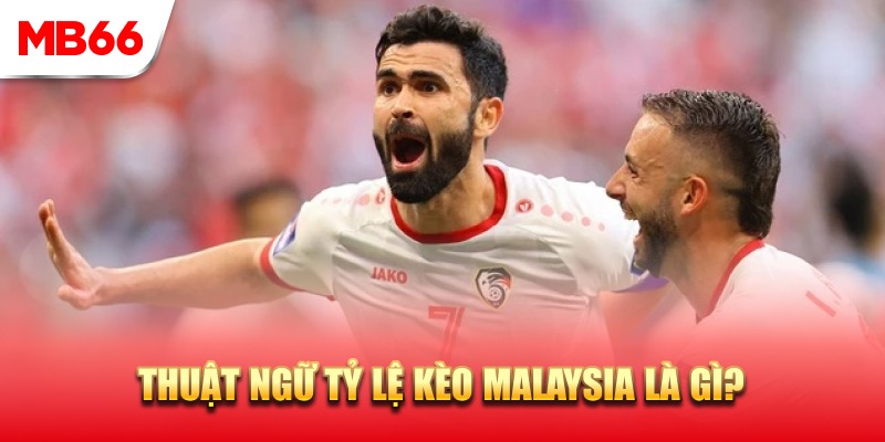 Tìm hiểu thông tin đúng về tỷ lệ kèo Malaysia