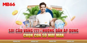 Soi Cầu Vàng 777 – Hướng Dẫn Áp dụng Chọn Con Số May Mắn
