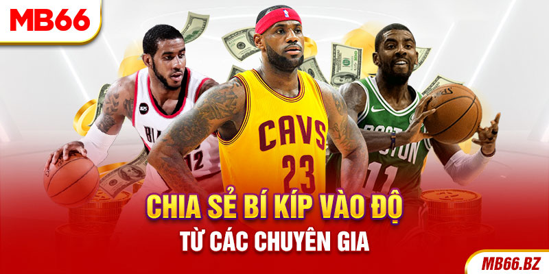 Chia sẻ bí kíp vào độ từ các chuyên gia