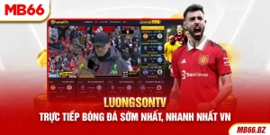 Review LuongsonTV – Trực Tiếp Bóng Đá Sớm Nhất Việt Nam
