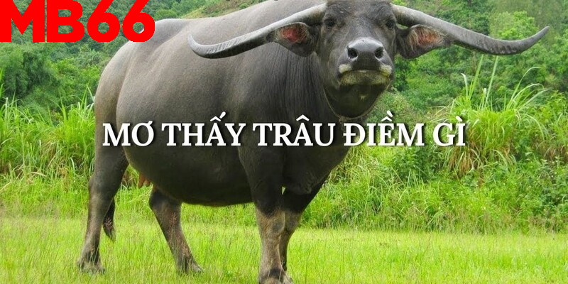 Giấc mơ thấy trâu có thể ám chỉ sức mạnh và sự bền bỉ