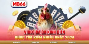 Video Đá Gà Kinh Điển Được Tìm Kiếm Nhiều Nhất 2024