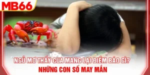 Ngủ Mơ Thấy Cua Mang Lại Điềm Báo Gì? Những Con Số May Mắn Tại MB66
