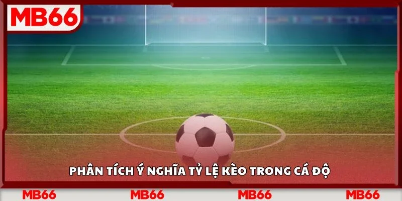 Phân tích ý nghĩa tỷ lệ kèo trong cá độ 